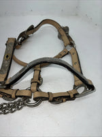 Used Light Oil Genuine Leather Show Halter With Lead Rope Silver Accents W-23