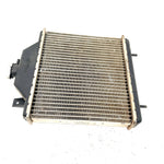 1997 Polaris Xplorer 500 OEM Radiator W/Screen 1240015 AP230