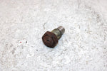 1999 Kawasaki Prarie 400 Oem Swing Arm Pivot Bolt 33032-1034 AK28
