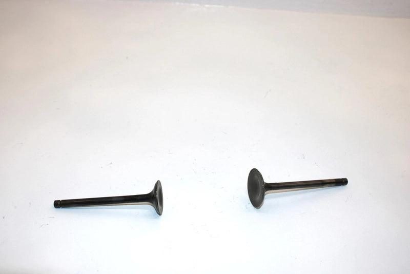 86 Kawasaki Bayou 300 Klf300a Oem Intake/Exhaust Valve (Pair) 12004-1123 AK6