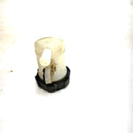 2007 Arctic Cat 700 4x4 Automatic EFI OEM Rear Brake Reservoir 1502-155 AA33