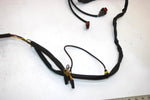01 Arctic Cat Mountain Cat 600 Efi Oem Main Wire Harness 0686-694 SAS2