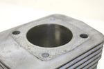 96 Arctic Cat Panther Deluxe OEM Cylinder Jug 3007-559 SA104