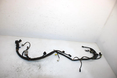 06 Arctic Cat Firecat 700  Efi Oem Main Wire Harness 1686-271 SAS5