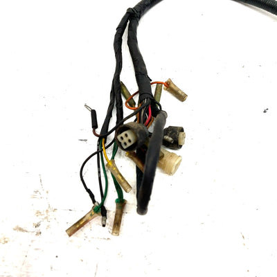 1996 Yamaha Warrior 350 OEM Main Wire Harness 3GD-82590-20-00 AY60