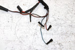 1996 Polaris Sportsman 500 Oem Main Wire Harness 2460544 AP187