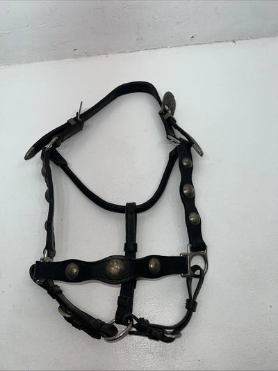 New Black Leather Full Horse Show Halter Gold accents 3C-15