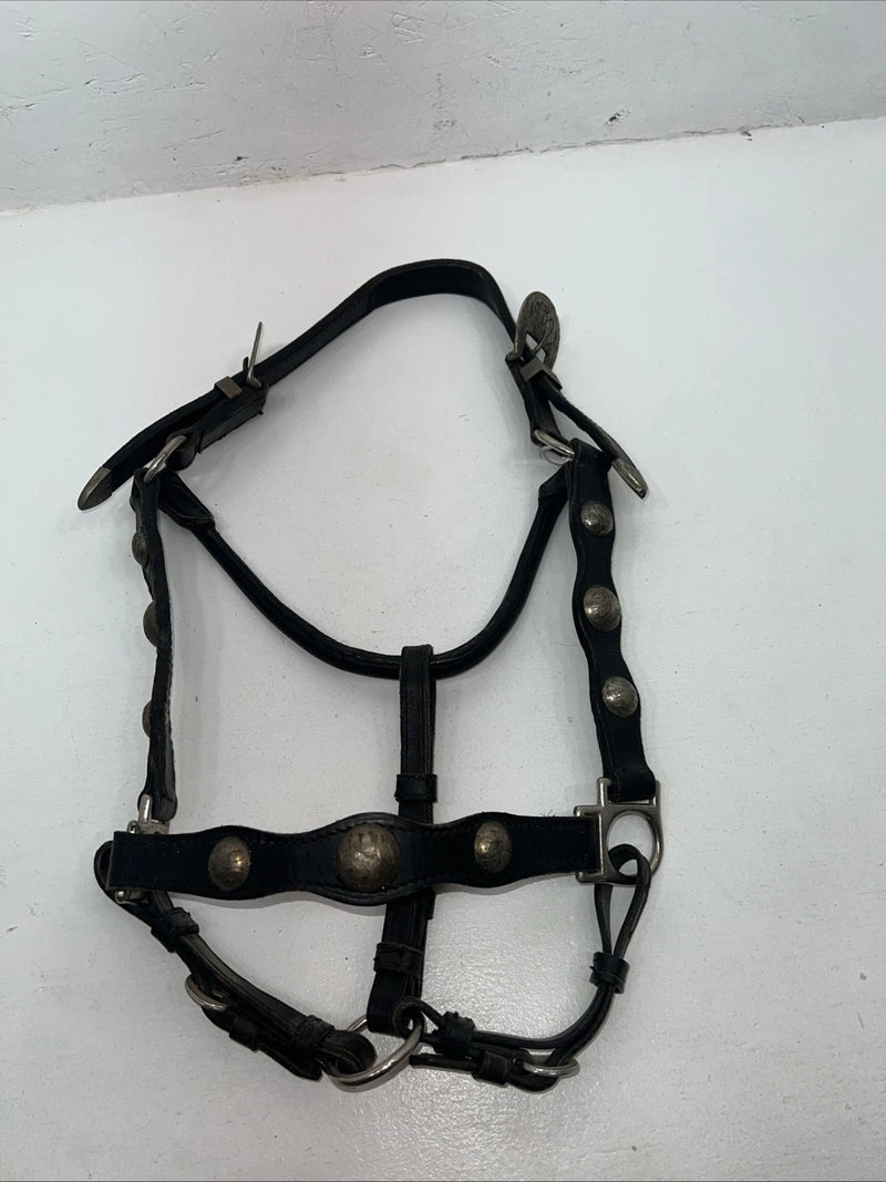 New Black Leather Full Horse Show Halter Gold accents 3C-15
