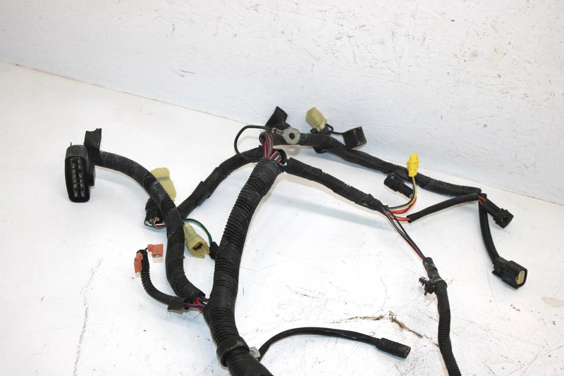 08 Arctic Cat F1000 Sno Pro Efi Oem Main Wire Harness 1686-417 SAS9