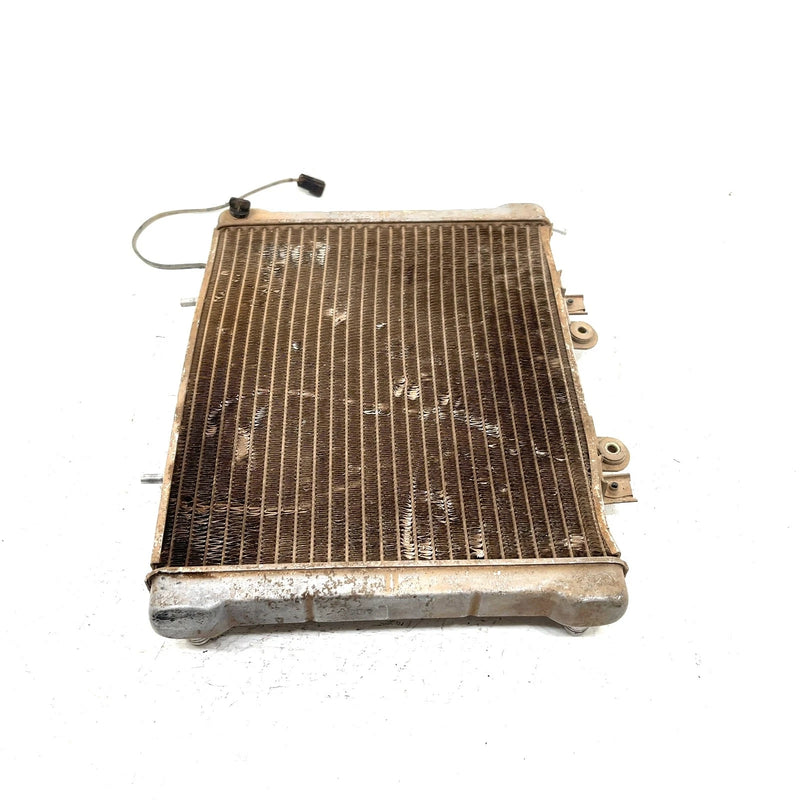 02-04 Polaris Sportsman 700 OEM Radiator 1240534 AP219