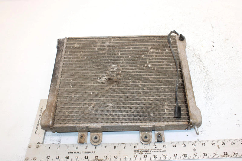 2002 Polaris Sportsman 700 Oem Radiater 1240103 1240534 AP184