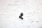 2001 Ski-doo Mxz 800 Oem Carb Cap Screw Pair 404161923 SS19