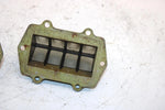 01 Arctic Cat Mountain Cat 800 Oem Reed Valve Pair 3005-876 SAS9