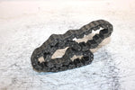 1999 Polaris 500 Indy Oem 68T Chaincase Chain 3221112 SP50