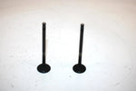 04 Polaris Sportsman 500 Oem Exhaust Valve Set 3085412 AP44