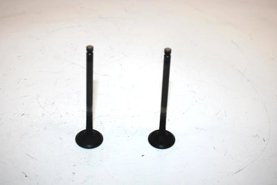 04 Polaris Sportsman 500 Oem Exhaust Valve Set 3085412 AP44
