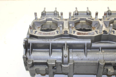 1996 Arctic Cat Monte Carlo 900 OEM Crankcase 3008-256 JA0