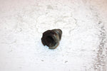 02 Honda Trx 350 Fea Fourtrax Rancher Oem Right Pivot Bolt 90121-HM5-930 AH54