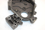 96 Arctic Cat Puma Deluxe Oem Dropcase W/Studs 0702-311 SA70