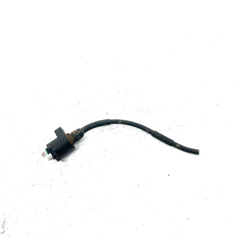 93-06 Honda Sportrax 300 TRX300EX 2x4 OEM Ignition Coil 30510-GR2-405 AH81