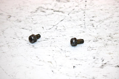 2001 Ski-doo Mxz 800 Oem Carb Cap Screw Pair 404161923 SS19