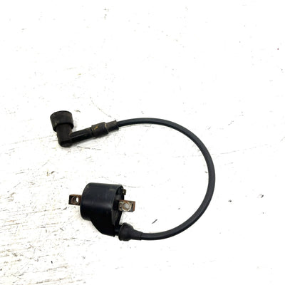 88-89 Polaris Trail Boss 250 4X4 OEM Ignition Coil AP229