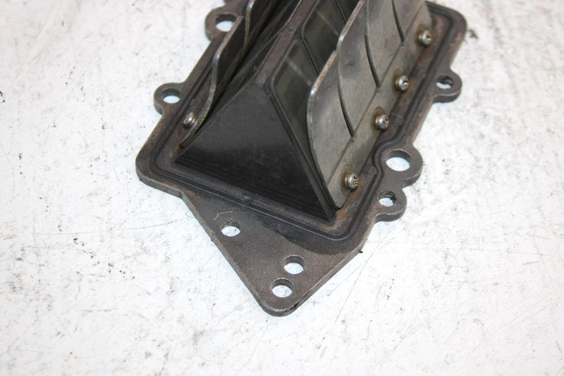 1998 Yamaha Waverunner Gp800 Oem Reed Valve 66E-13610-00-00 JY9