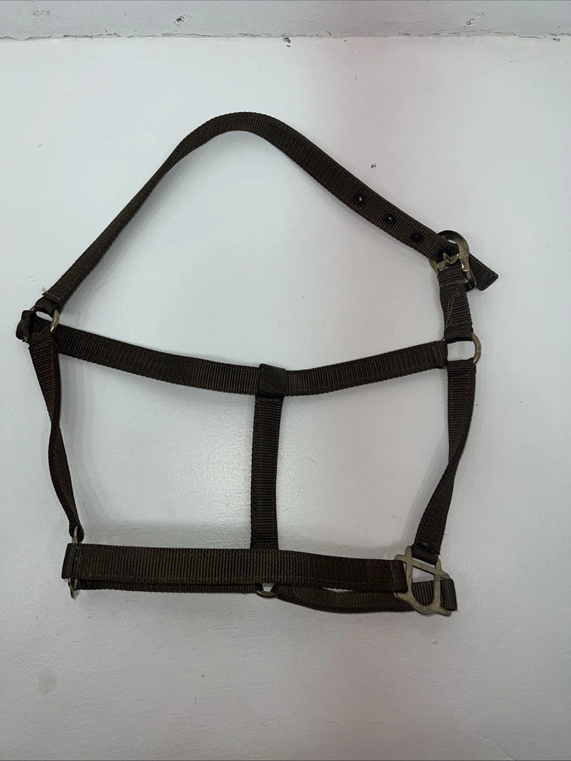 New Brown Nylon Full Horse Halter Gold Buckles NN-600