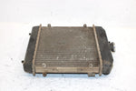 1998 Arctic Cat 454 Oem Radiator 0413-001 AA3