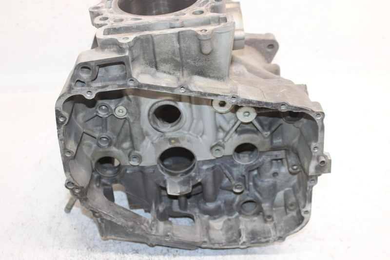 08 Arctic Cat Tz1 Touring Oem Crankcase 3007-707 SAS14