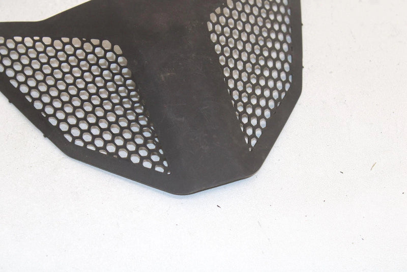 Polaris Oem Center Hood Screen Black 5435838-070 B45