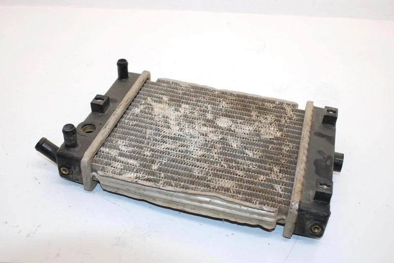 08 Arctic Cat Atv 250 Utility 2x4  Oem Radiator 3303-737 AA13