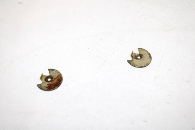 Polaris Oem Carburetor Throttle Plate (Pair) 3130054 Q828