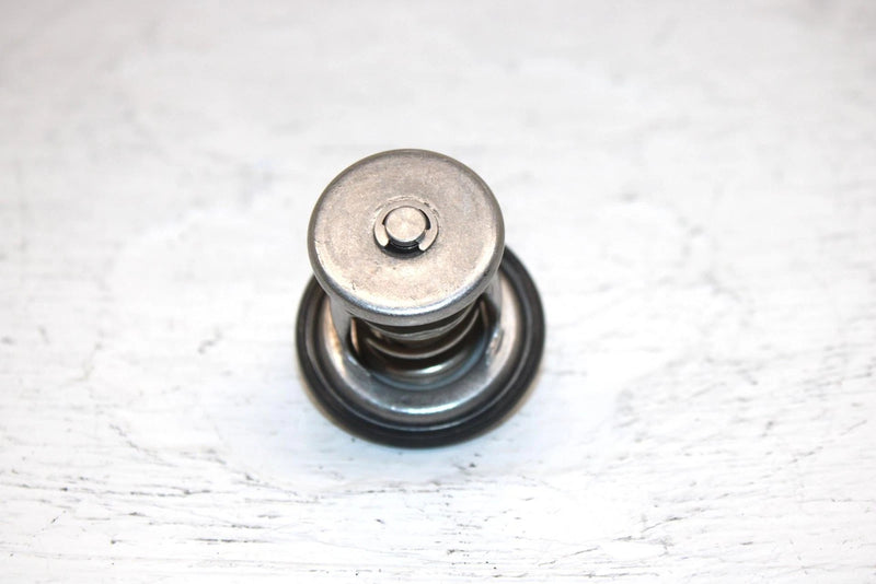 2002 Ski-doo Mxz 500 Oem Thermostat 420922519 SS16