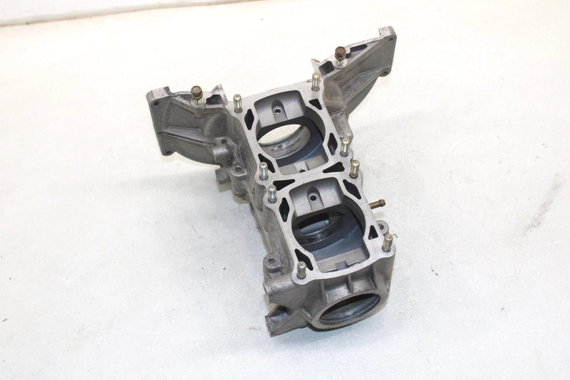 95 Polaris Lite Oem Engine Block Crankcase 3083980 SP193