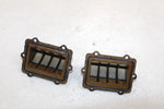 Polaris Oem Intake Reed Valve (Pair) 1201843 Q1170