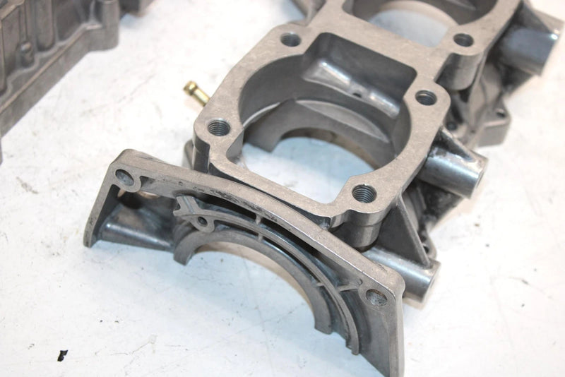 00 Arctic Cat Z 440 Oem Bare Crankcase 3005-912 SAS11
