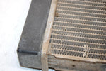 2005 Bombardier Rally 175 Oem Radiator A19100179000 AB8