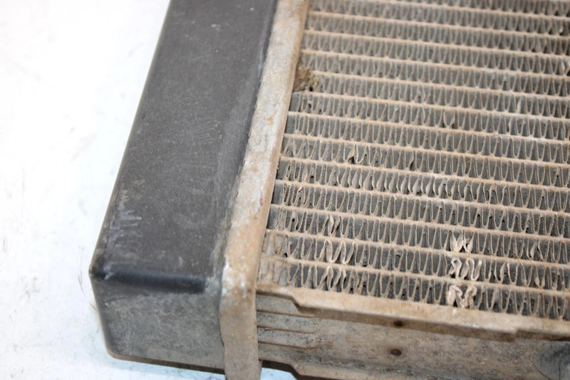 2005 Bombardier Rally 175 Oem Radiator A19100179000 AB8