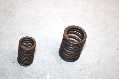 05 Yamaha  Bruin  4wd Hunter  Oem Valve Spring Set 22U-12113-00-00 AY38