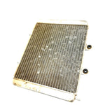 2010 Polaris RZR 800 EFI OEM Radiator 1241480 XP8