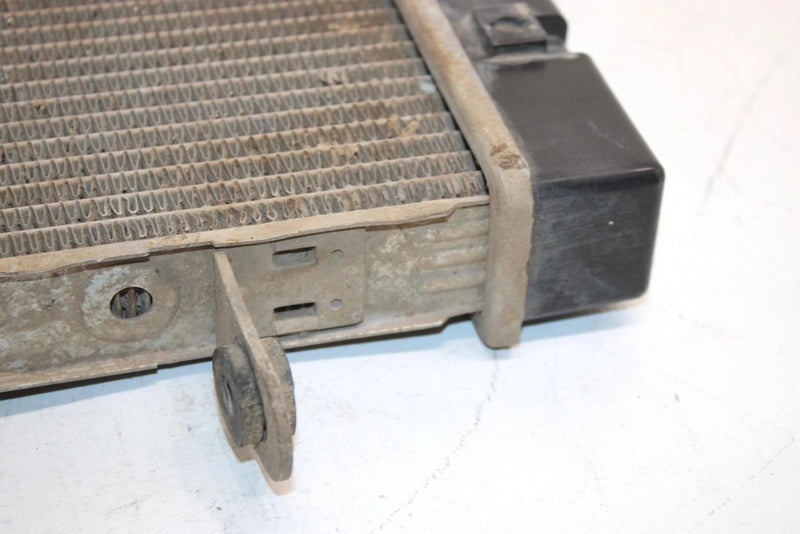 2005 Bombardier Rally 175 Oem Radiator A19100179000 AB8