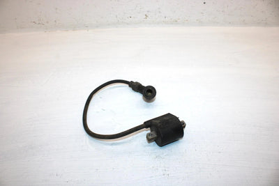 2000 Polaris Trail Boss Oem Ignition Coil 3086483 3087036 AP171
