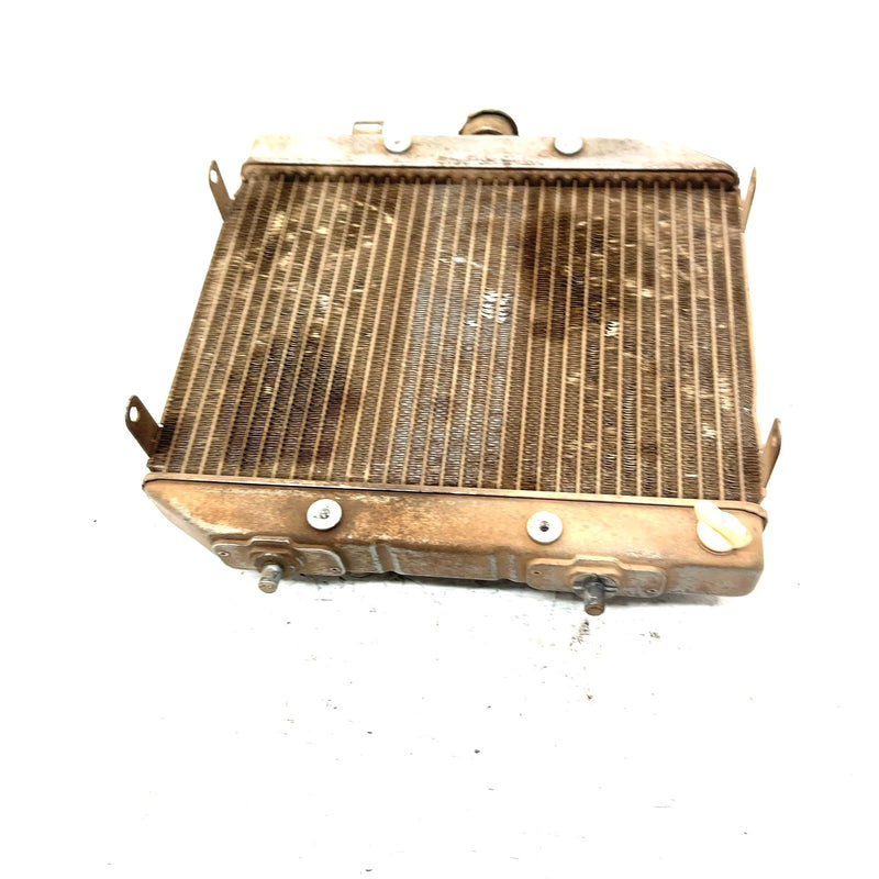 01-04 Honda Foreman Rubicon 500 TRX500FA 4x4 OEM Radiator  19010-HN2-505 AH86