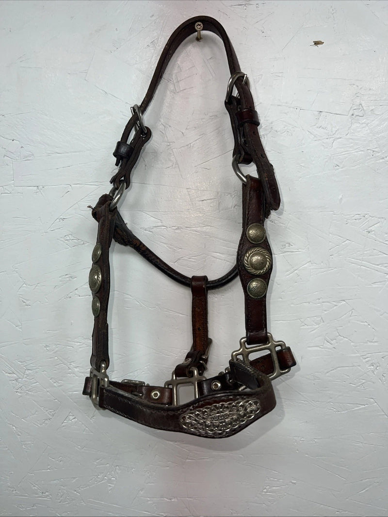 New Circle S Leather Yearling Show Halter Silver Buckles 3C-14