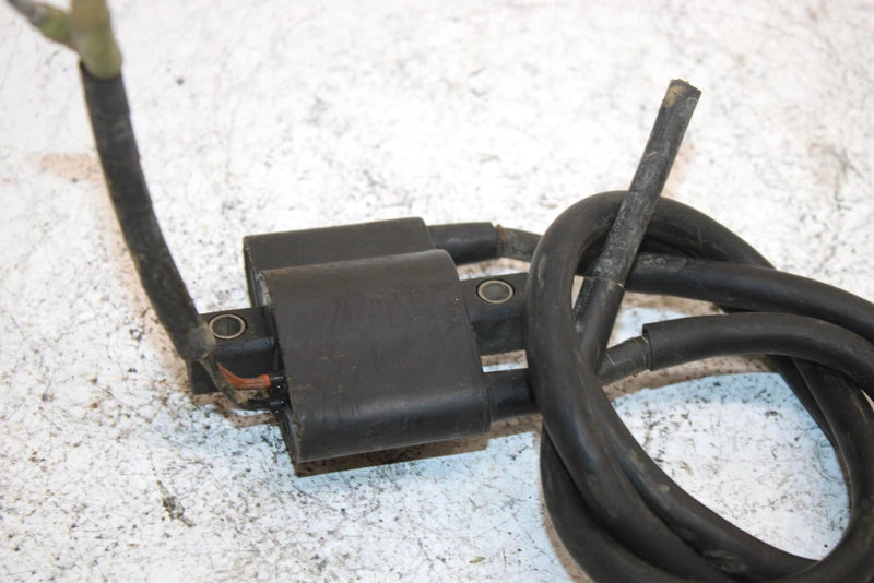 01 Arctic Cat Zl 550 Oem Ignition Coil 3005-409 SAS12