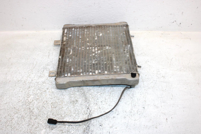 2001 Polaris Sportsman 400 Oem Radiater 1240045 1240533 AP178