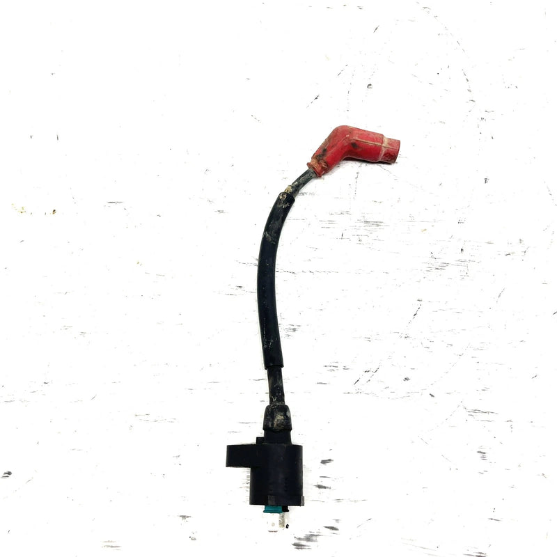 06-08 Honda Sportrax 250 TRX250 OEM Ignition Sensor 30510-HN6-A31 AH83