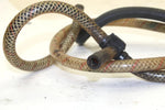 1995 Arctic Cat Daytona Oem Main Water Hose 0610-106 JA6