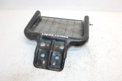 2002 Polaris Sportsman 500 Oem Front Brush Guard 5244731-067 1013772-067 AP87